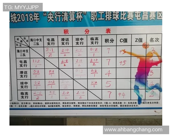 武汉排球队在排球战术排行榜中荣获第八名的辉煌成就分析