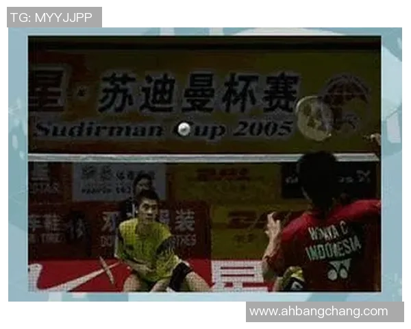 羽毛球盛宴：深入解析南京羽毛球队的默契配合与战术运用