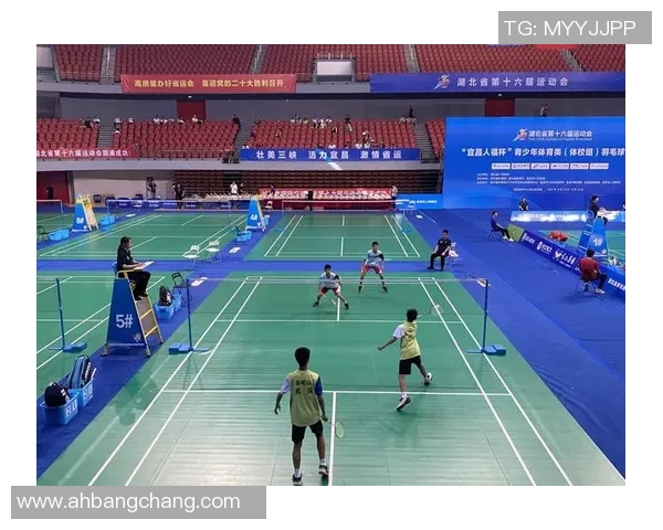 武汉羽毛球队中路突破解析与未来发展展望